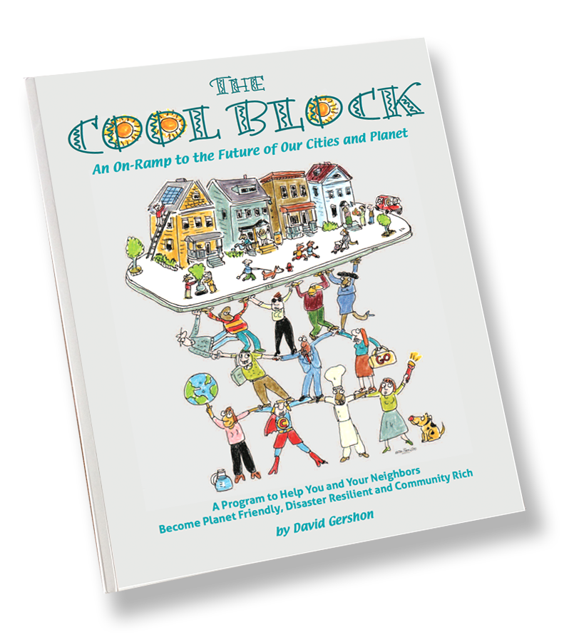 Coolblock book cover